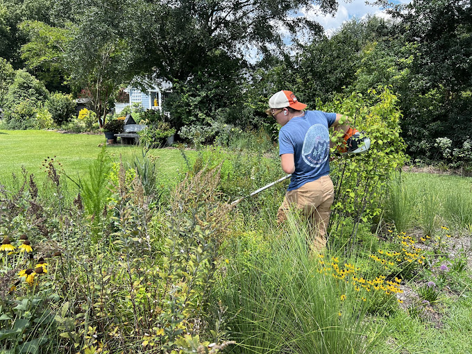 A man in a blue shirt and orange hat is weeding a field