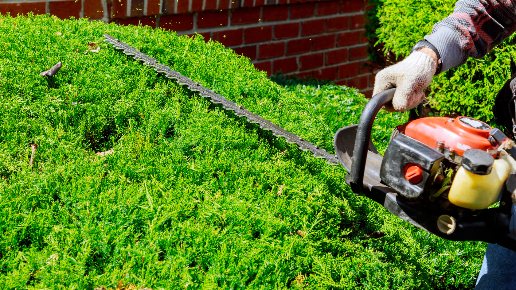 A man using a chainsaw to cut grass